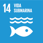 vida submarina